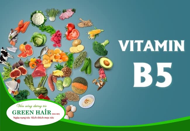 Vitamin B5 - Vitamin Có Nhiều Công Dụng & Phong Phú Trong Tự Nhiên